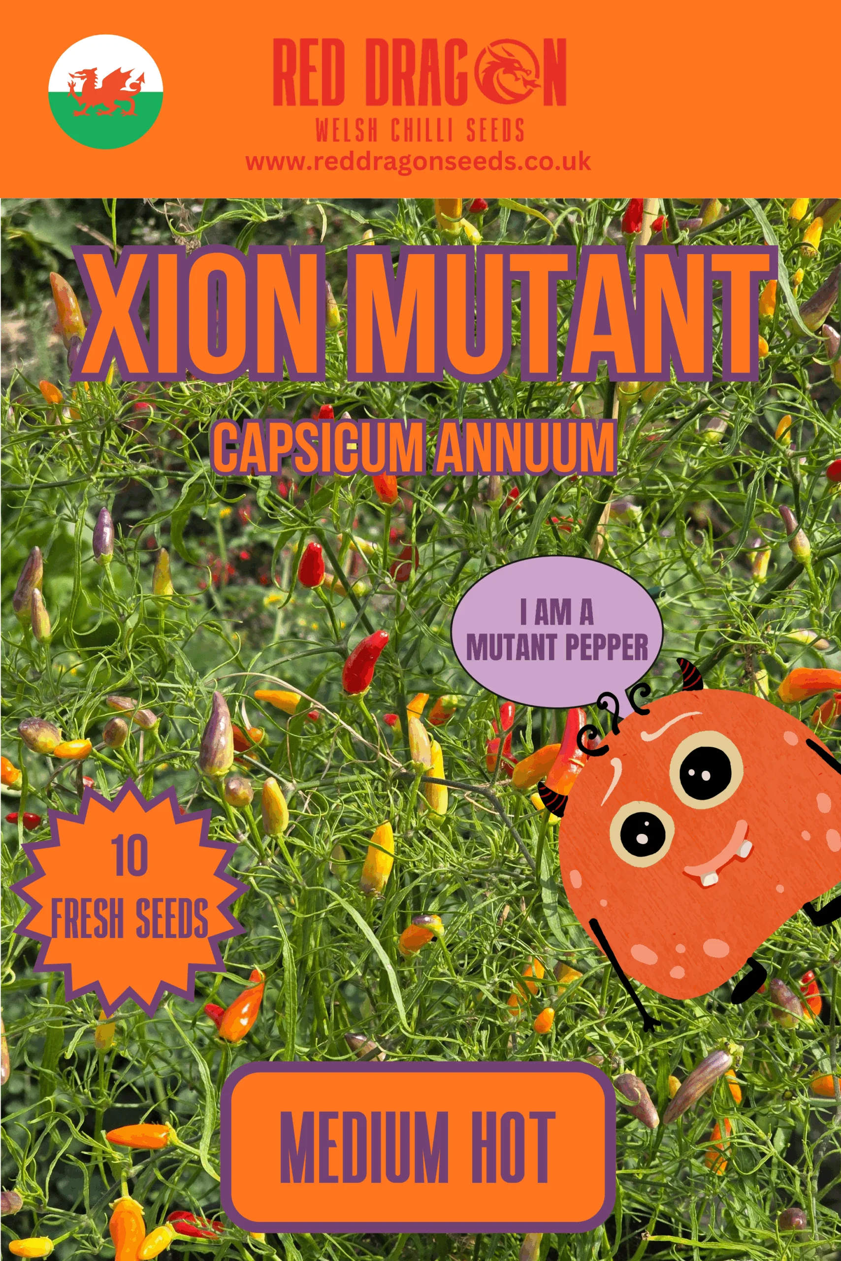 Xion Mutant Chilli Seeds