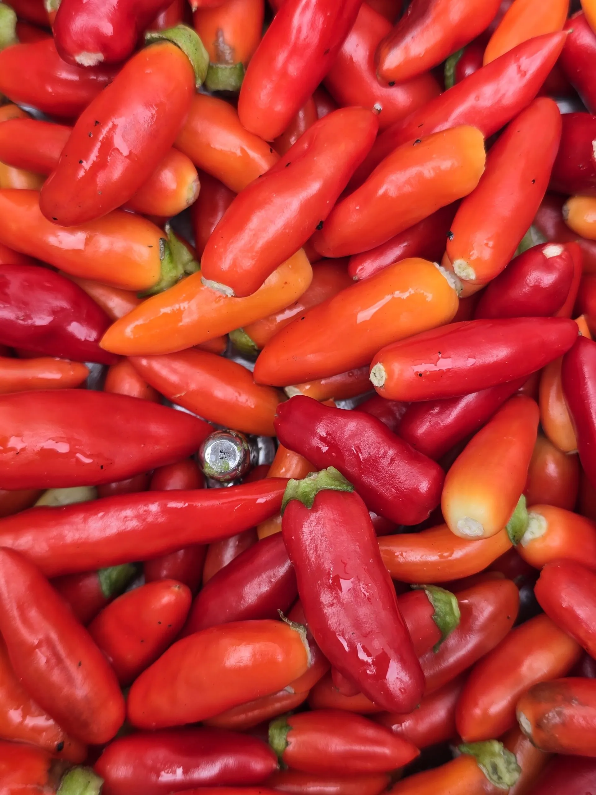 Uchu Creme x Trinidad Purple Coffee F6 - Image 5