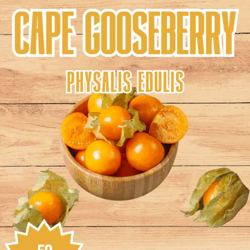 Cape Gooseberry Seeds
