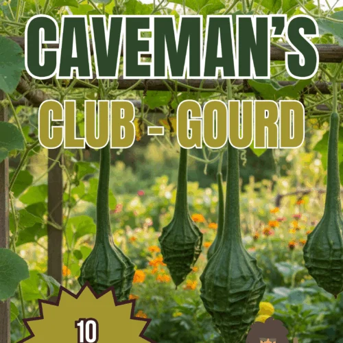 Caveman Club Gourd Seeds