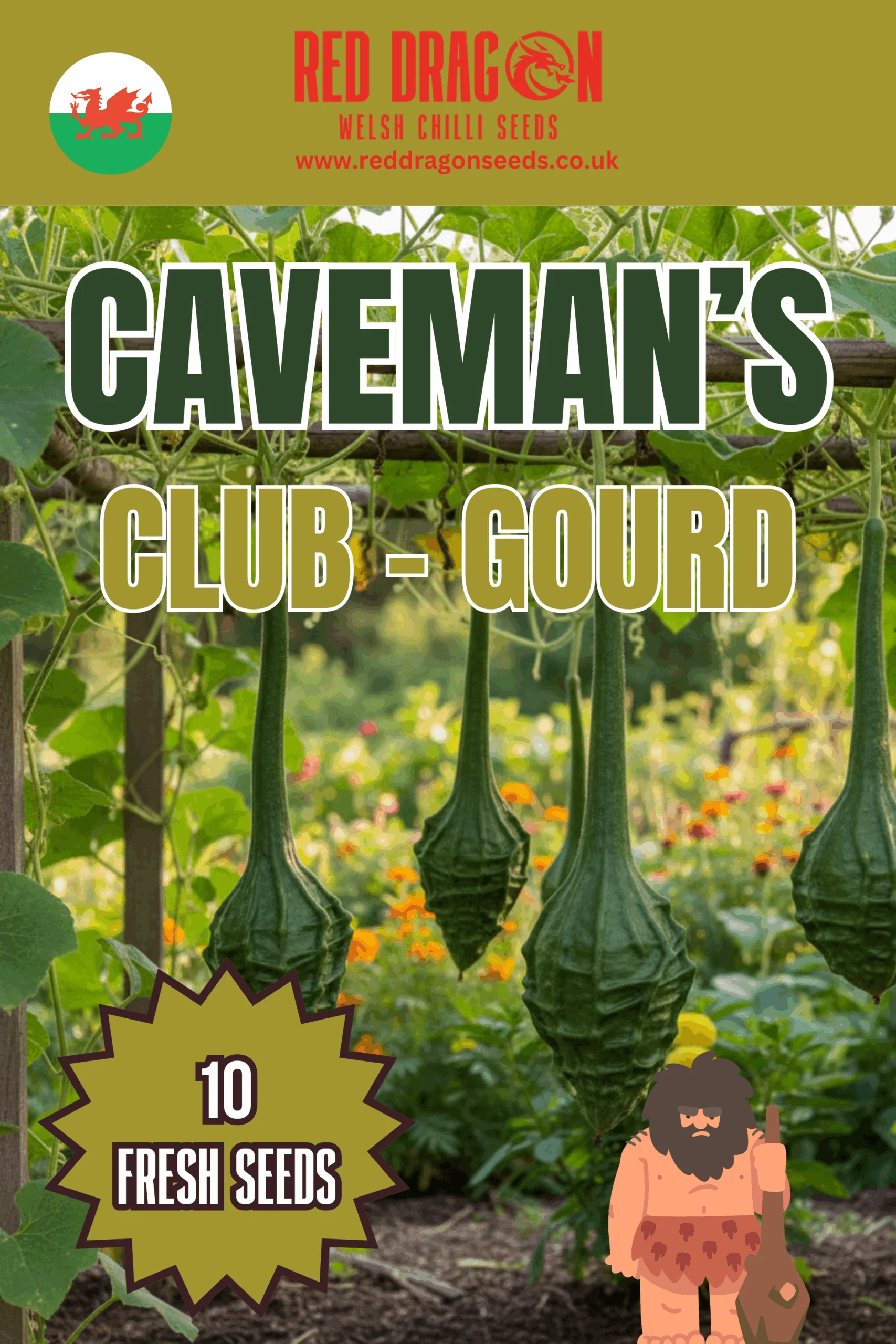 Caveman Club Gourd Seeds