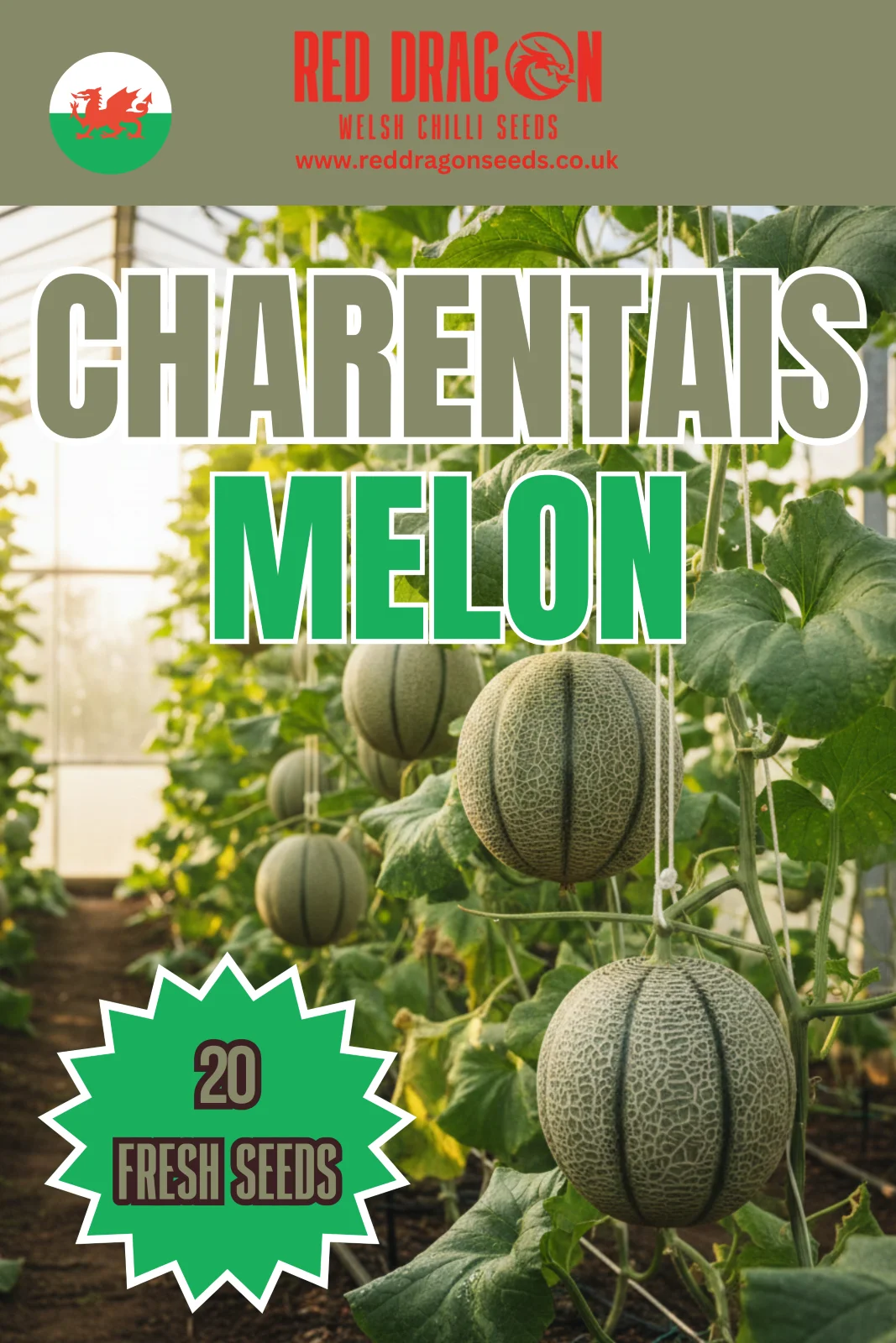 Charentais Melon Seeds