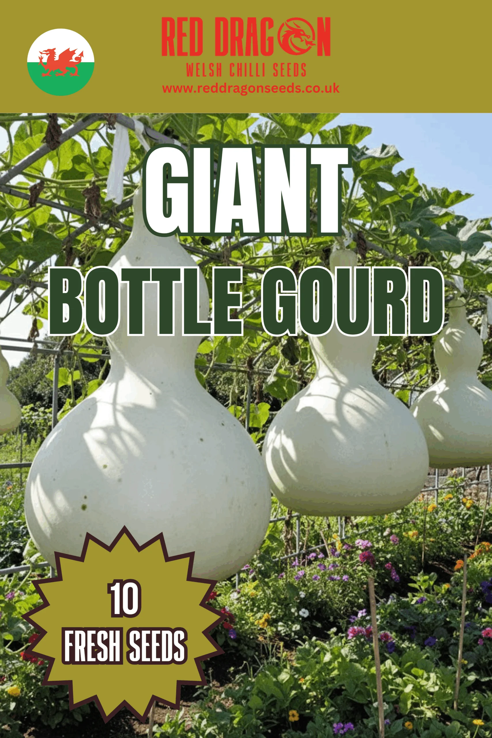 Giant Bottle Gourd Seeds