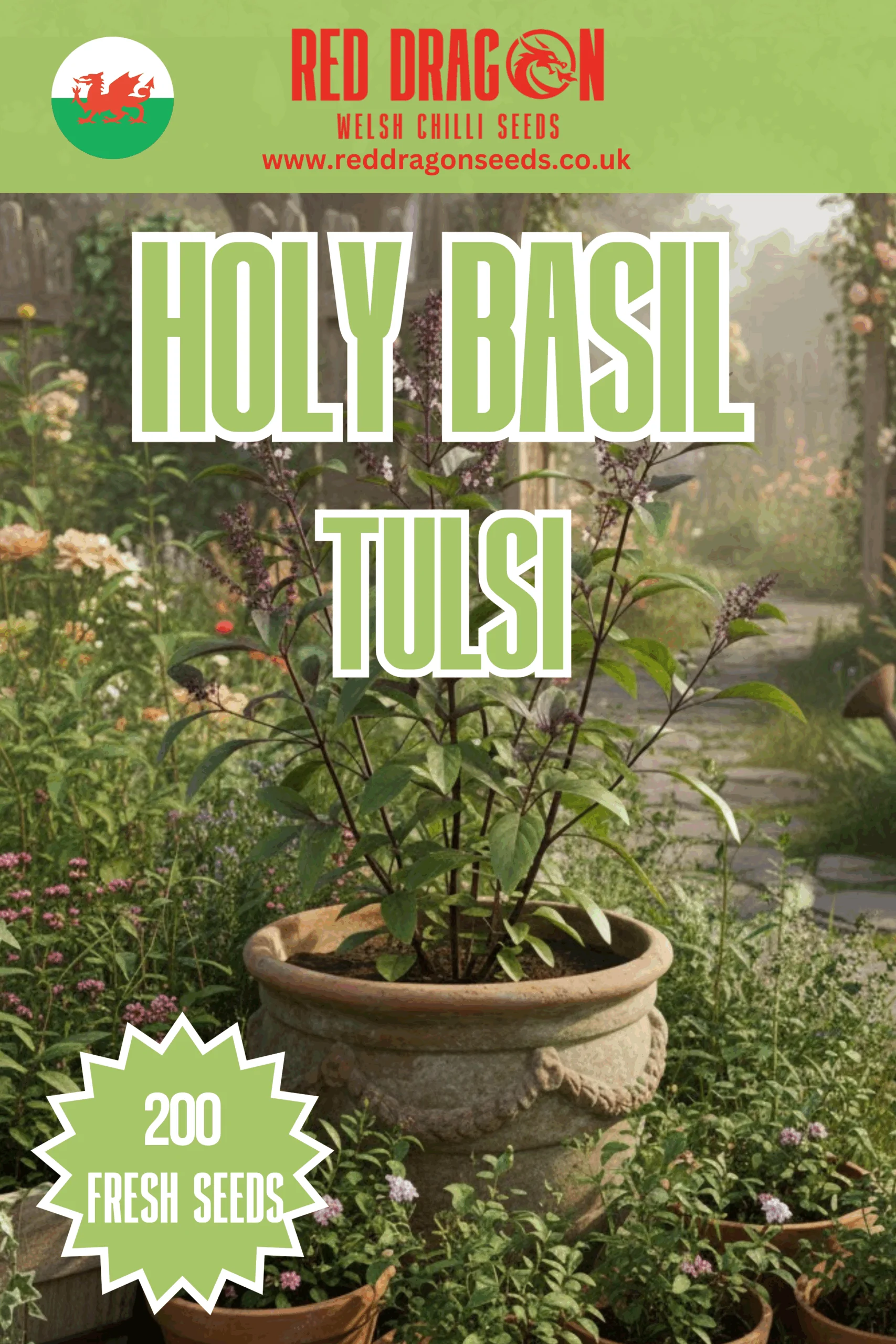 Holy Basil Tulsi Seeds