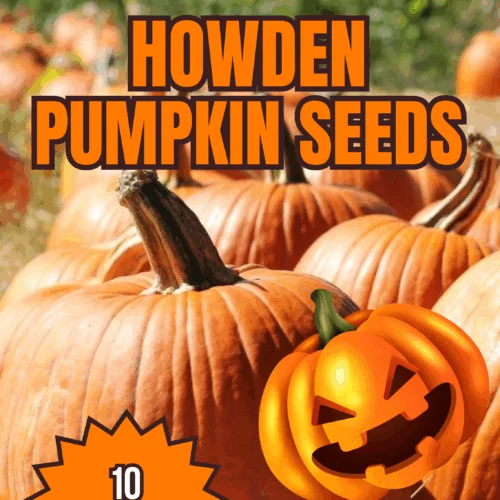 Howden Pumpkin Seeds