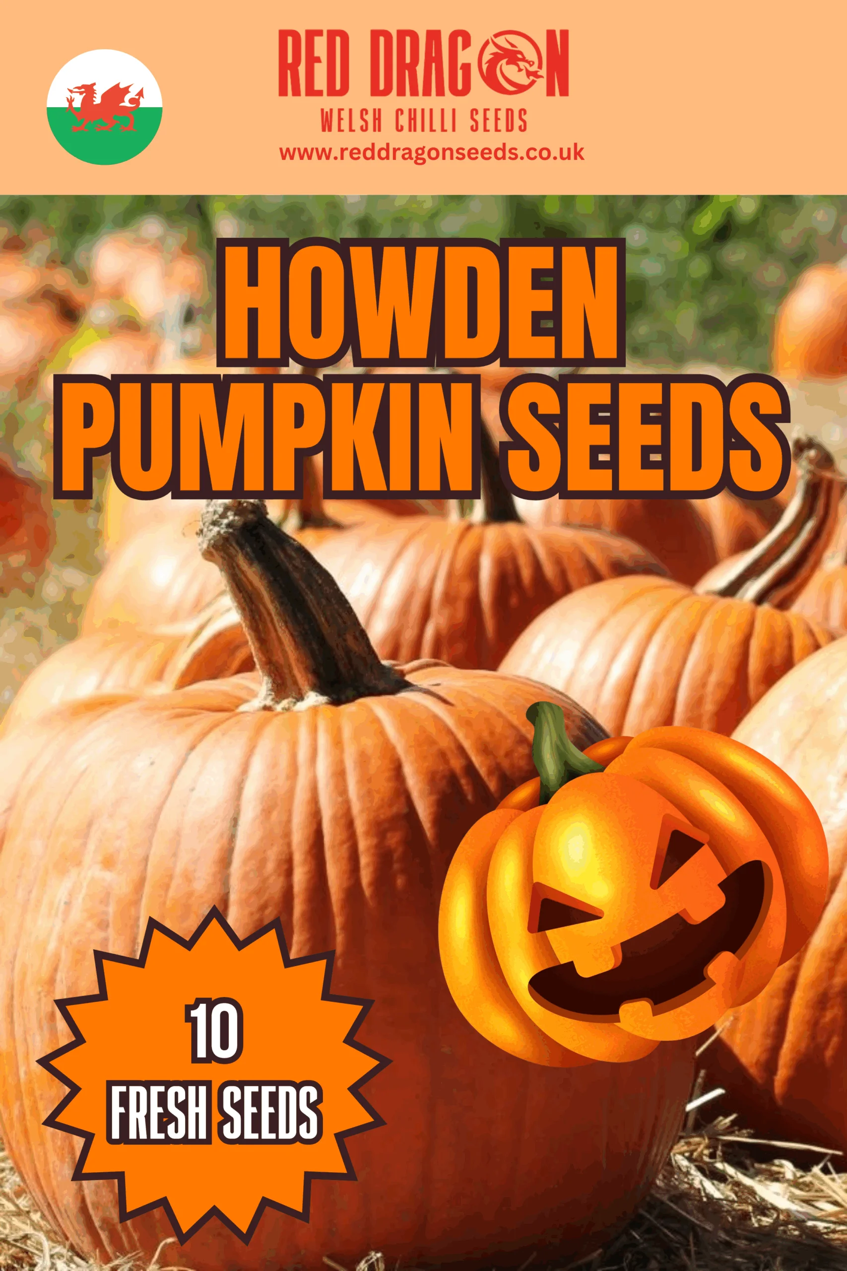 Howden Pumpkin Seeds