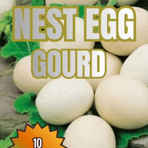 Nest Egg Gourd Seeds