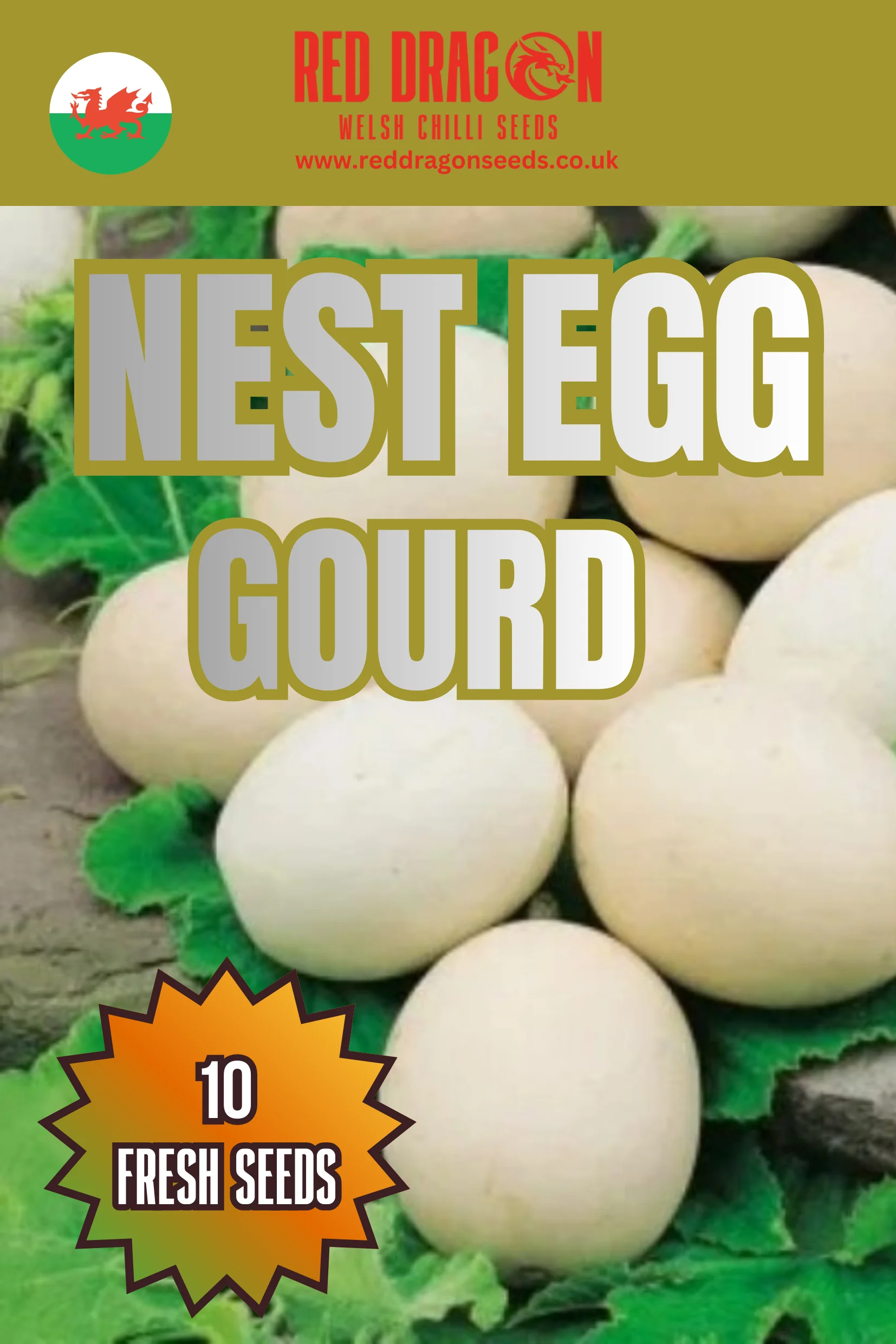 Nest Egg Gourd Seeds