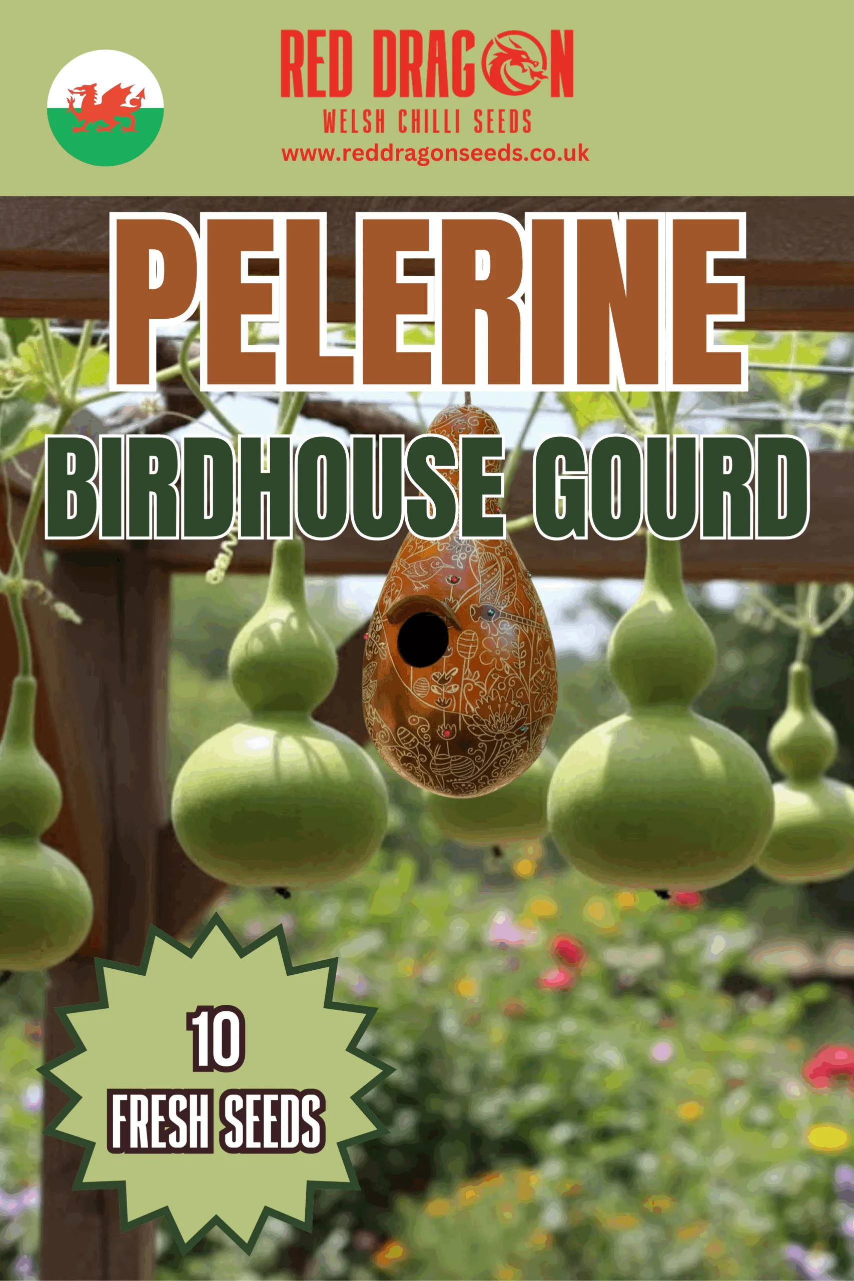 Pelerine Birdhouse Gourd Seeds