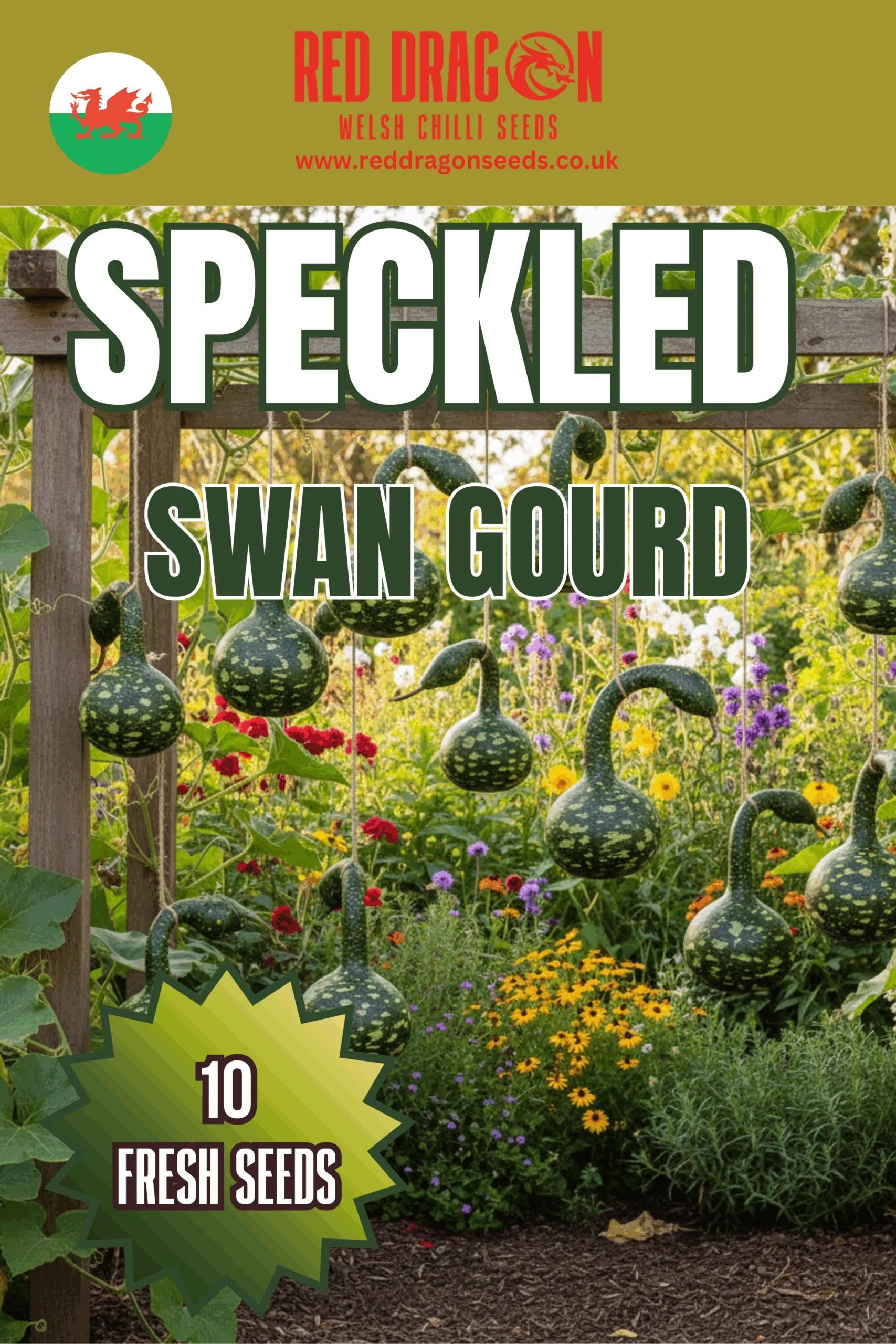 Speckled Swan Gourd Seeds