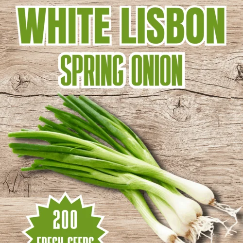 White Lisbon Spring Onion Seeds