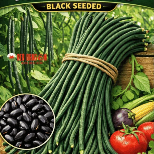 Yard Long Bean Metro nero seeds