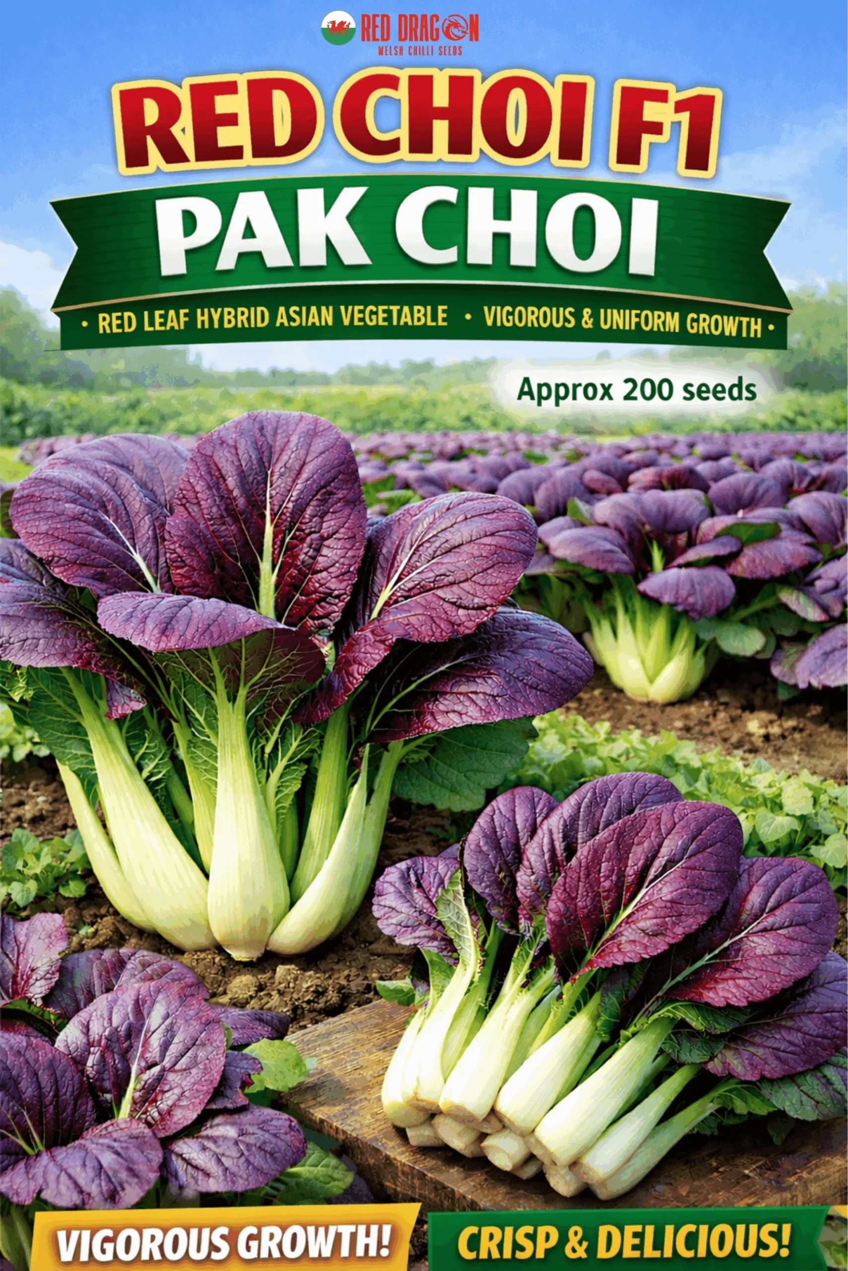 Red Choi F1 Pak Choi Seeds