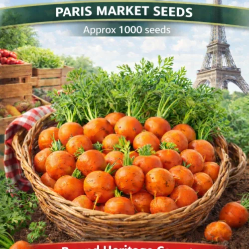 Paris Market Carrot