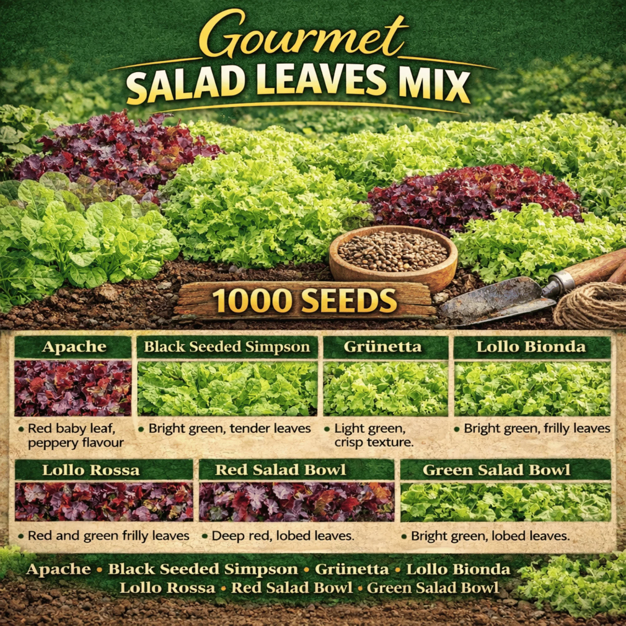Gourmet Lettuce Mix Seeds - Image 2