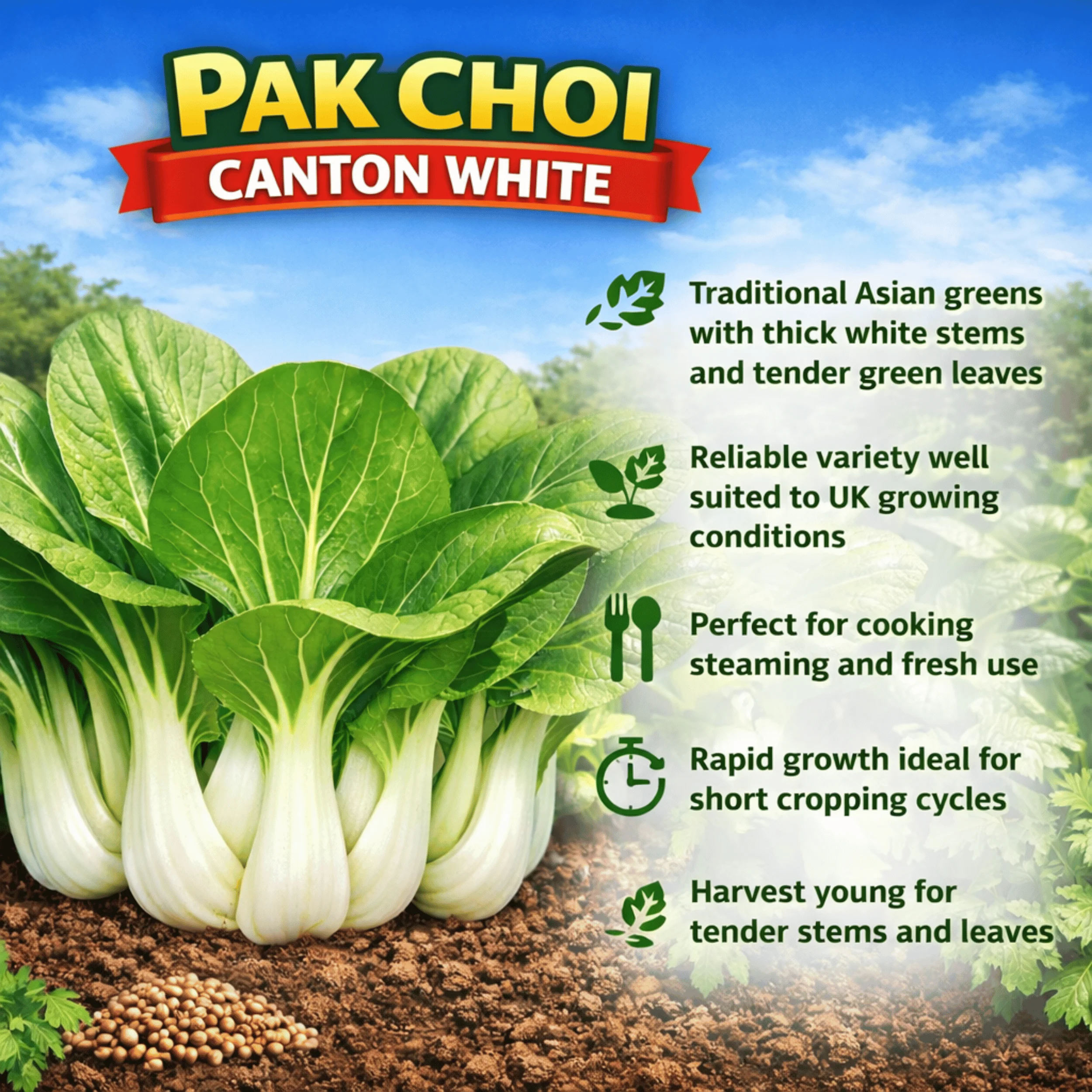 Canton White Pak Choi Seeds - Image 3