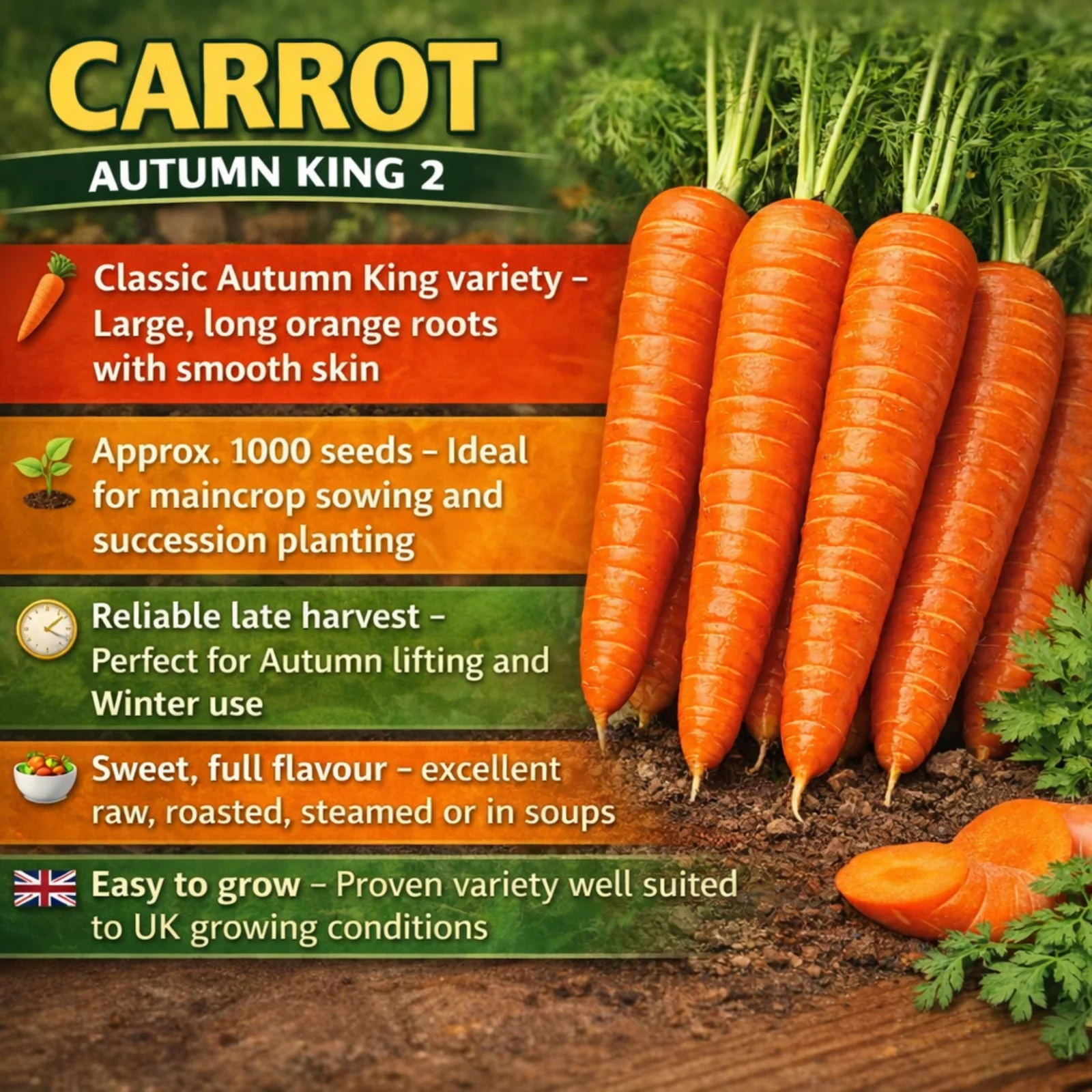 Long Purple Aubergine - Image 4