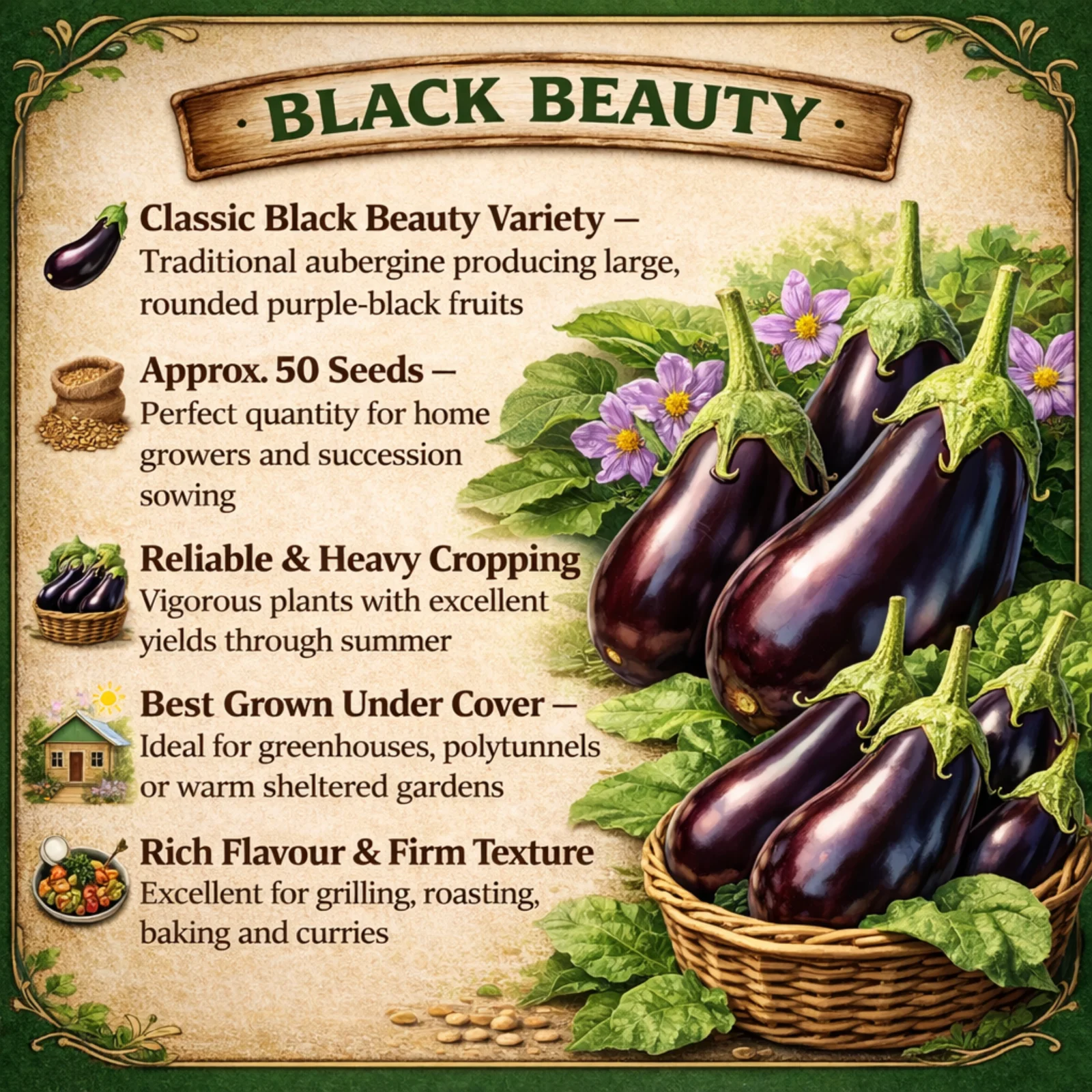 Long Purple Aubergine - Image 2