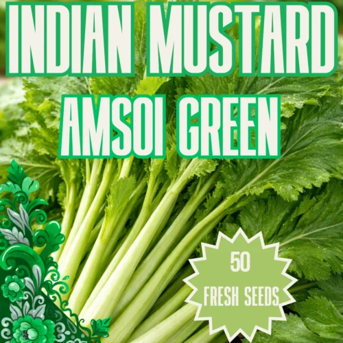 Indian Mustard - Amsoi Green