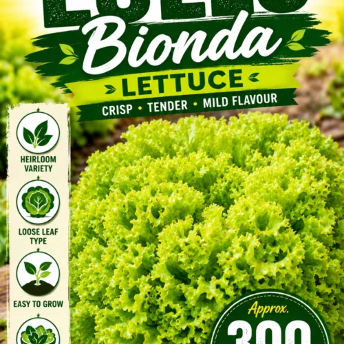 Lollo Bionda Lettuce Seeds