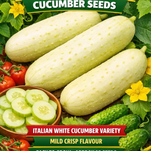 Mezzo Lungo Bianco Cucumber Seeds