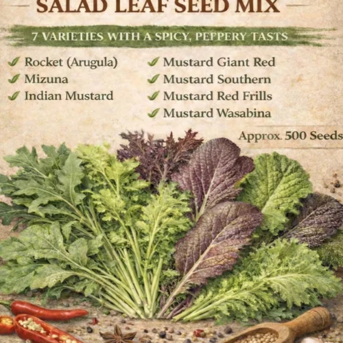 Nice and Spicy Salad Leaf Mix