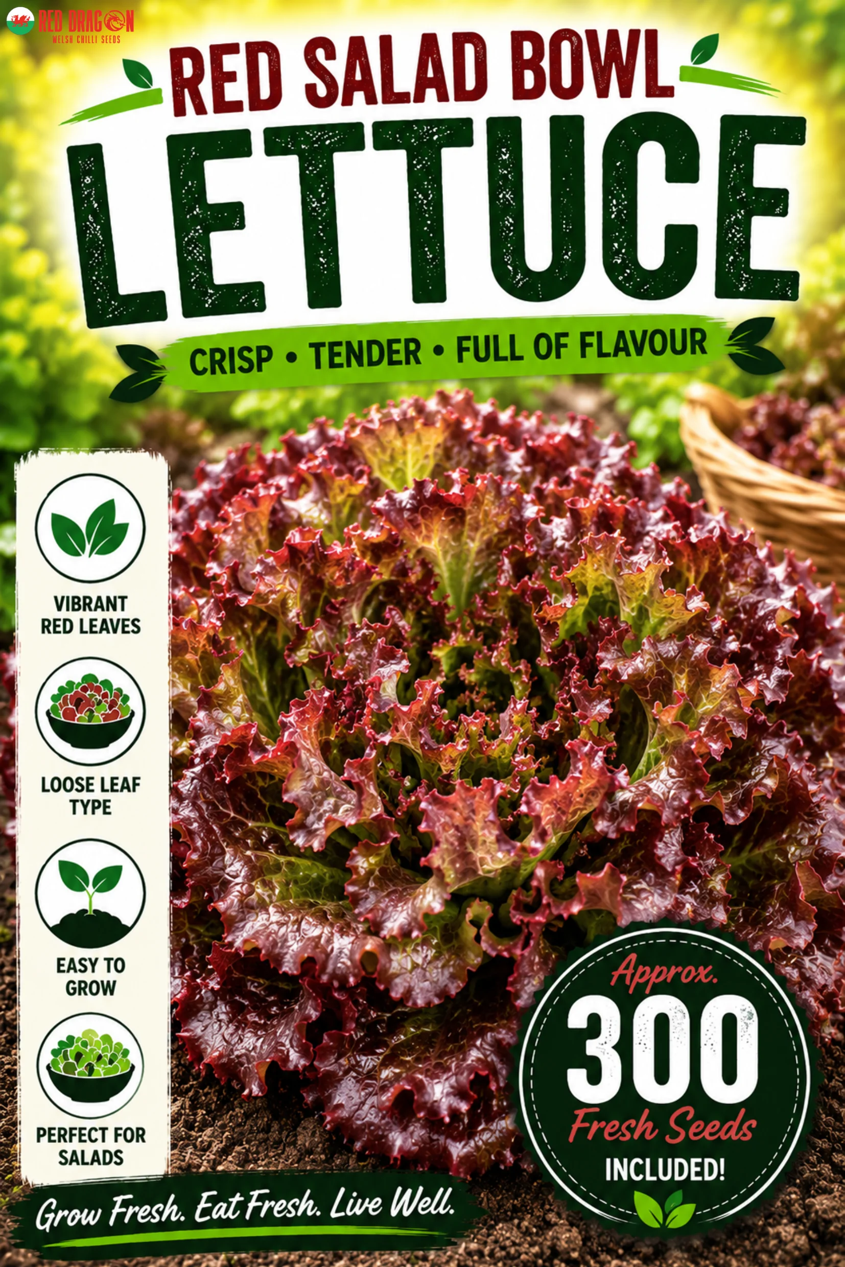 Red Salad Bowl Lettuce Seeds
