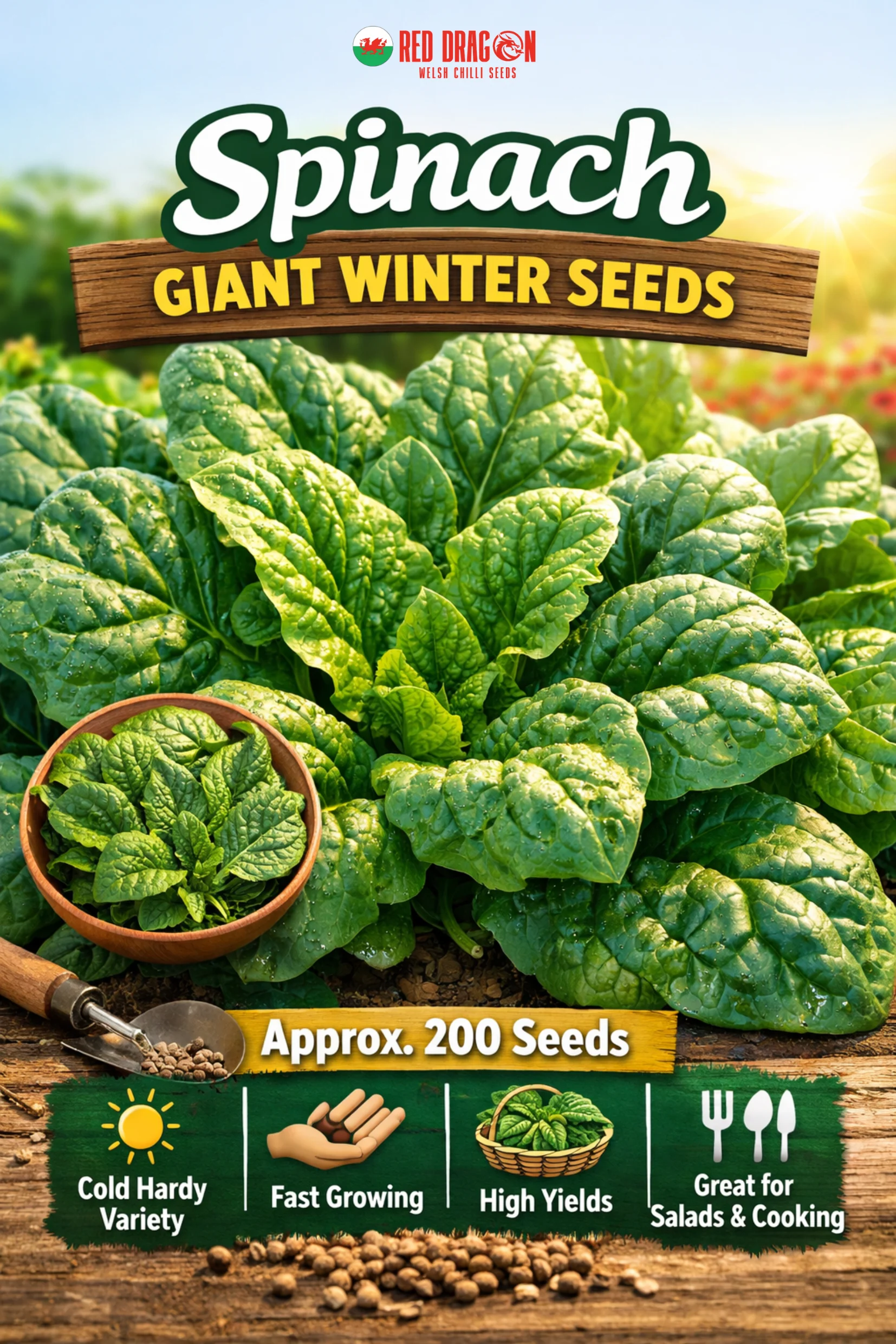 Spinach Giant Winter Seeds