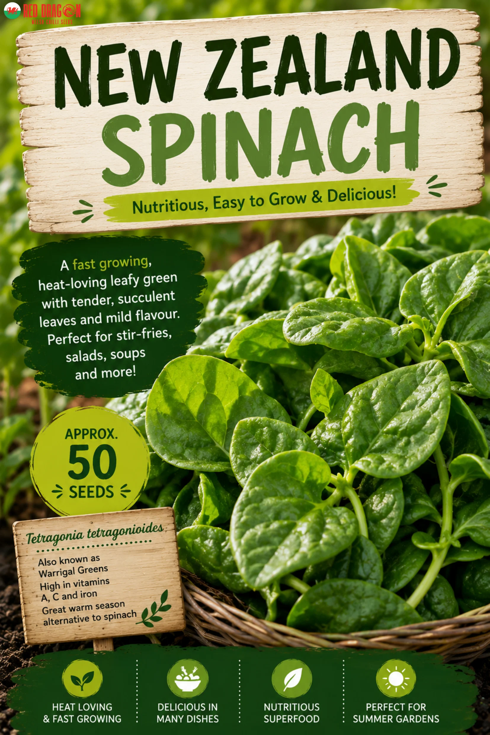 New Zealand Spinach Seeds