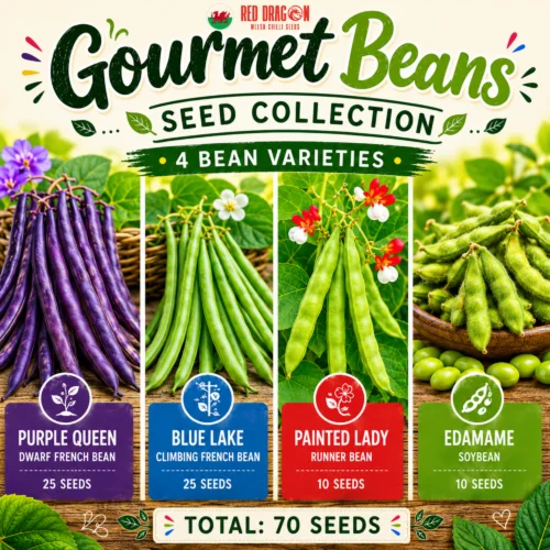 Gourmet Bean Collection - Purple Queen, Blue Lake, Painted Lady & Edamame