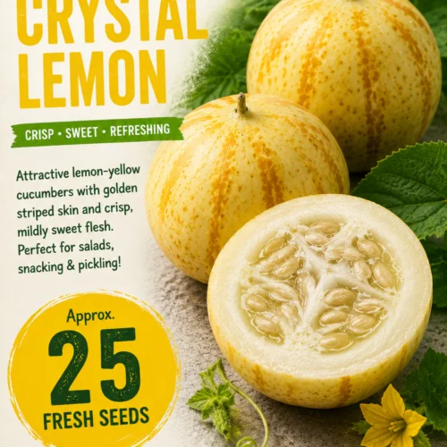 Cucumber Crystal Lemon Seeds