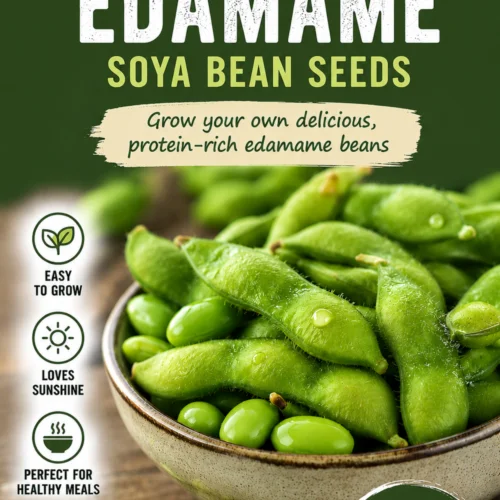 Edamame Beans Seeds