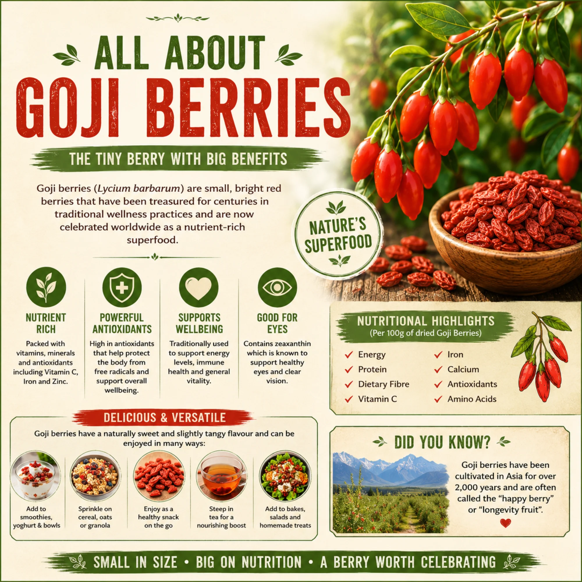 Goji Berry Seeds - Image 2