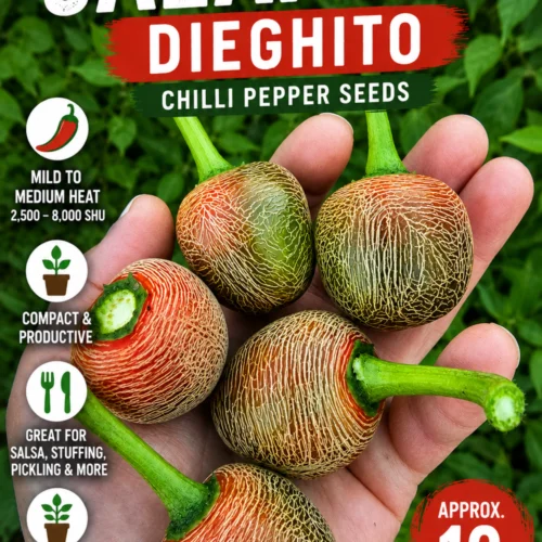 Jalapeno Dieghtio Seeds