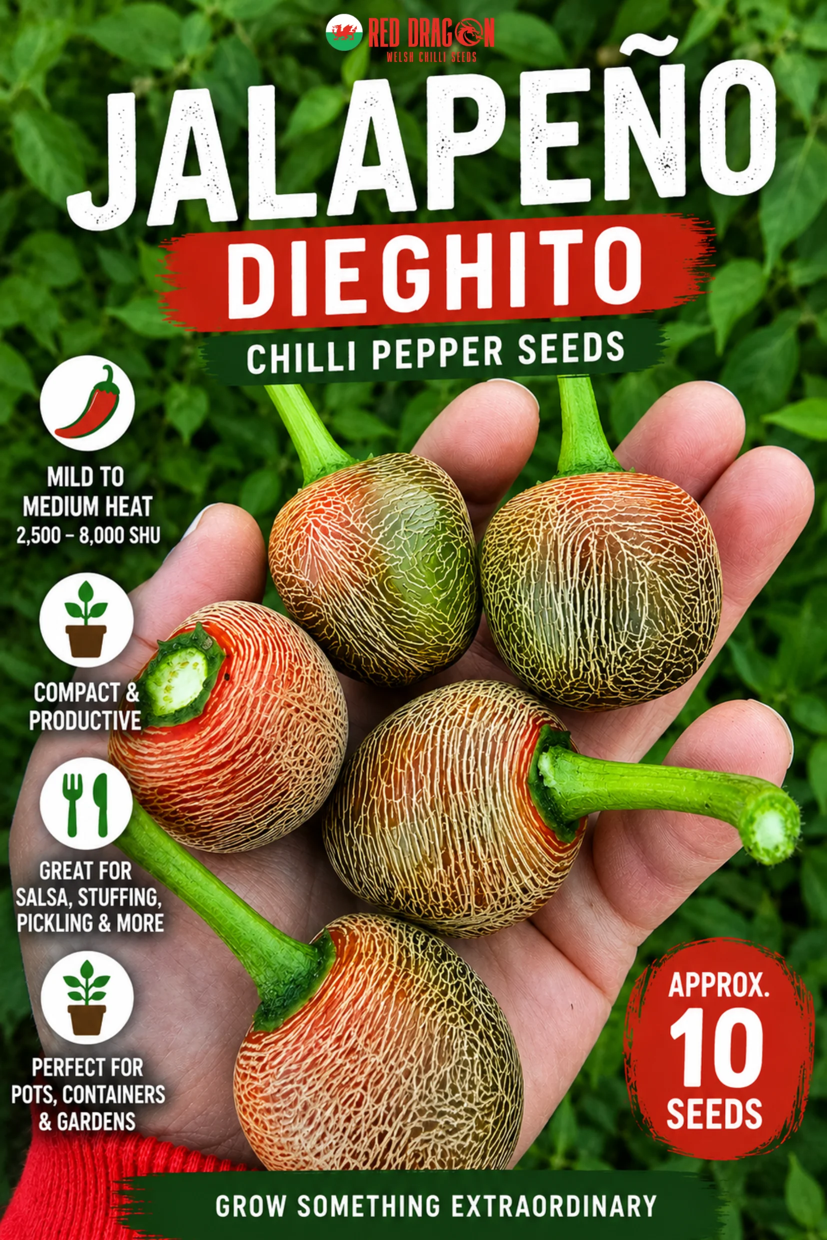 Jalapeno Dieghtio Seeds