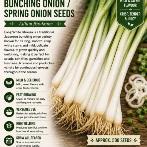 Long White Ishikura Bunching Onion - Spring Onion Seeds