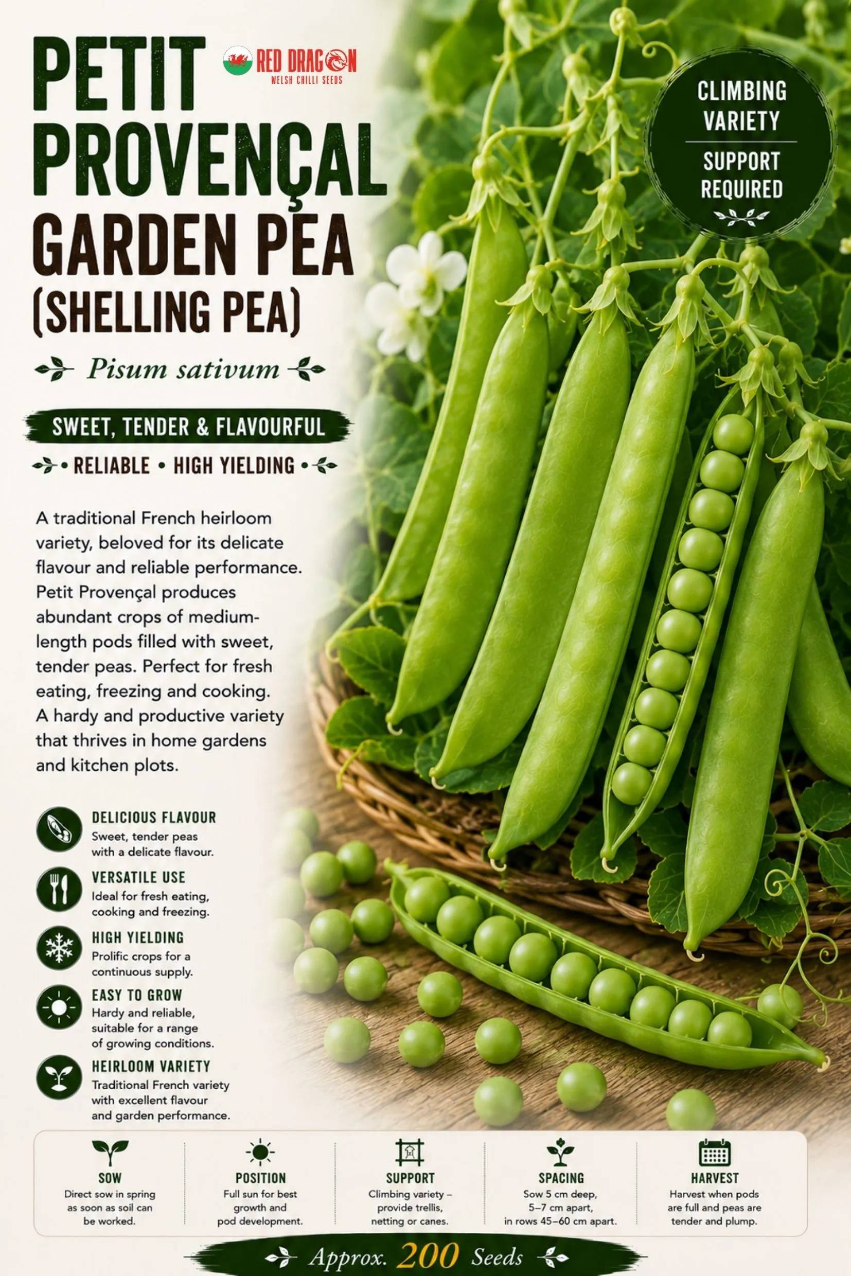 Petit Provencal Garden Pea Seeds