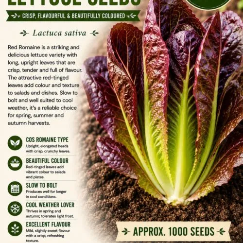 Red Romaine Lettuce Seeds