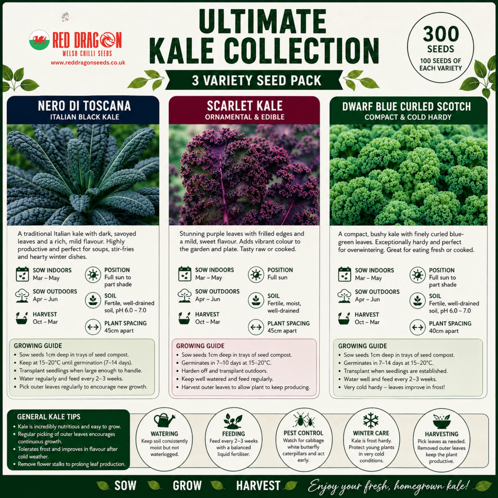 Ultimate Kale Collection - Image 2