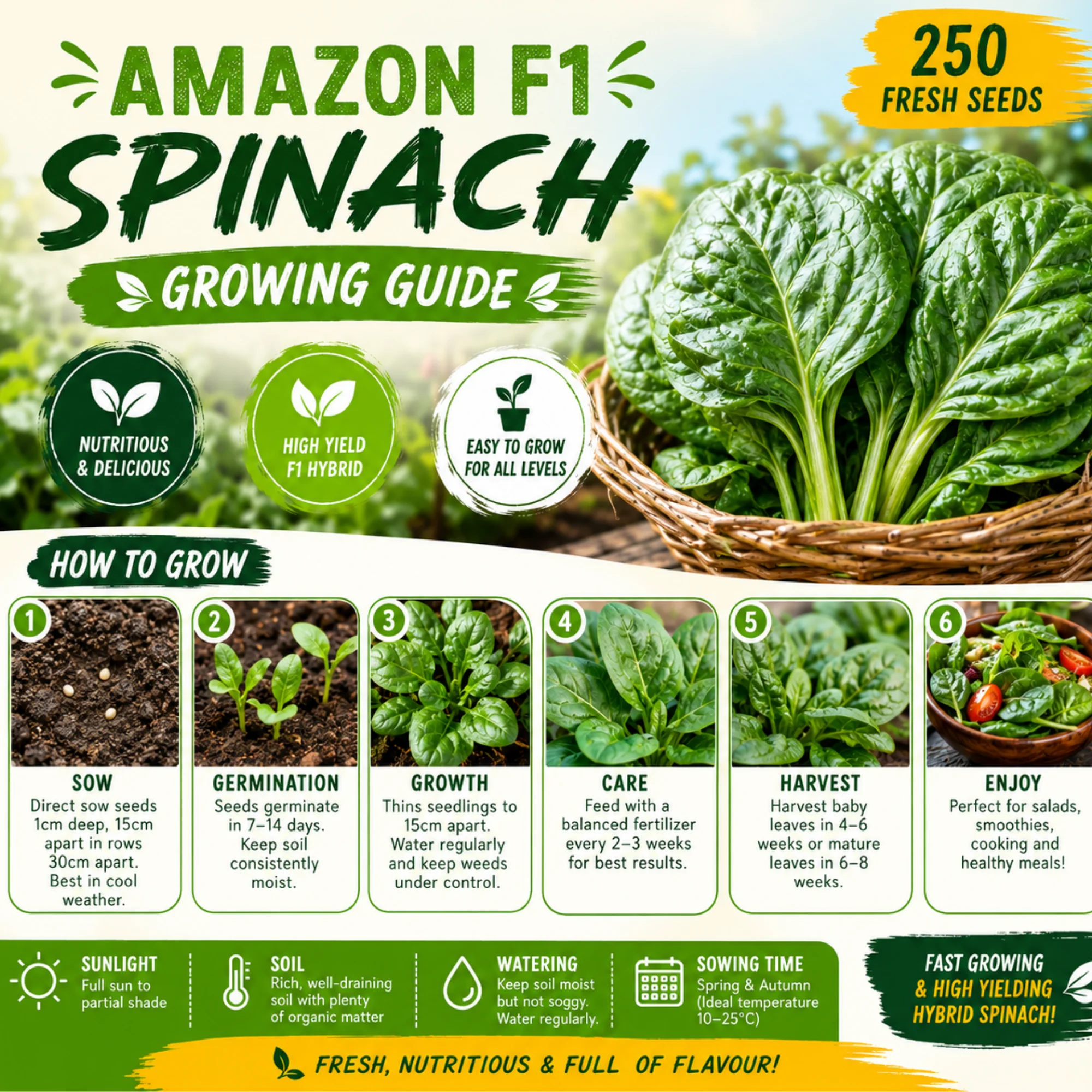 Amazon F1 Spinach Seeds - Image 2