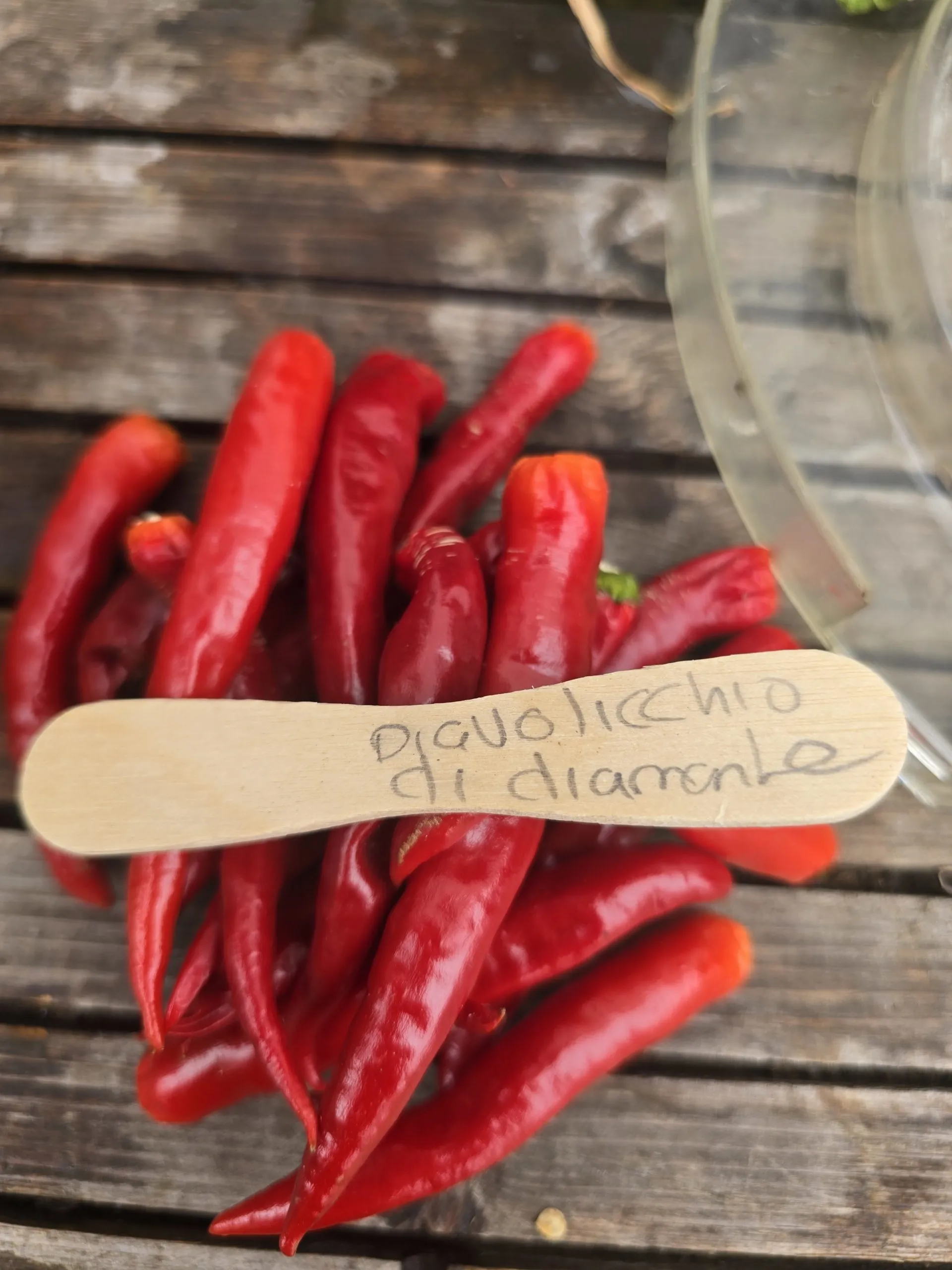 Diavolicchio Di Diamante Chilli Seeds - Image 8