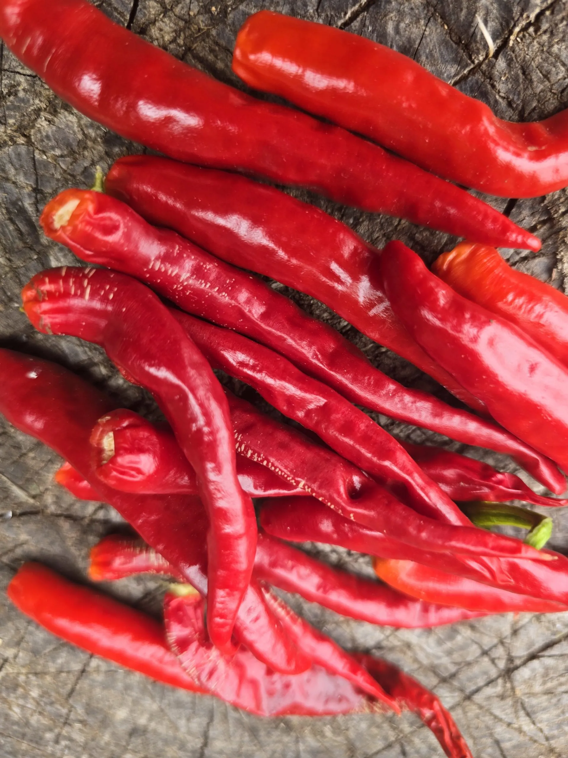 Diavolicchio Di Diamante Chilli Seeds - Image 6
