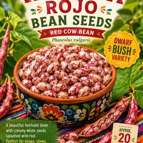 Vaquita Rojo Bean Seeds