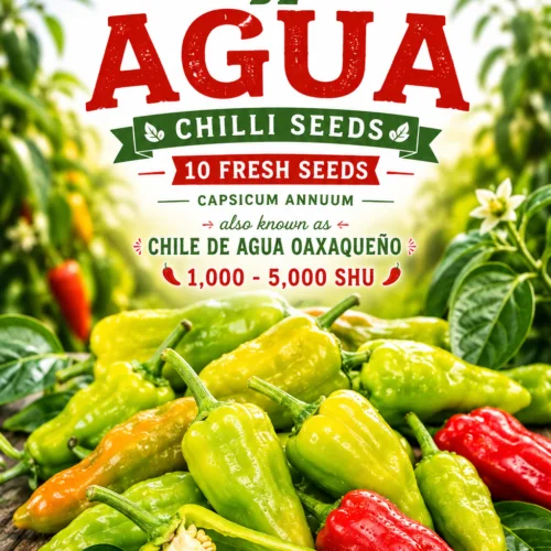 Chile De Agua Chilli Seeds