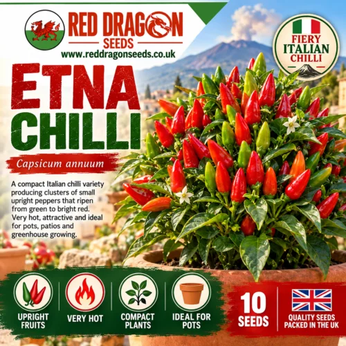 Etna Chilli Seeds