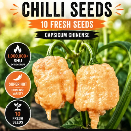 Fujiwhara Chilli Seeds