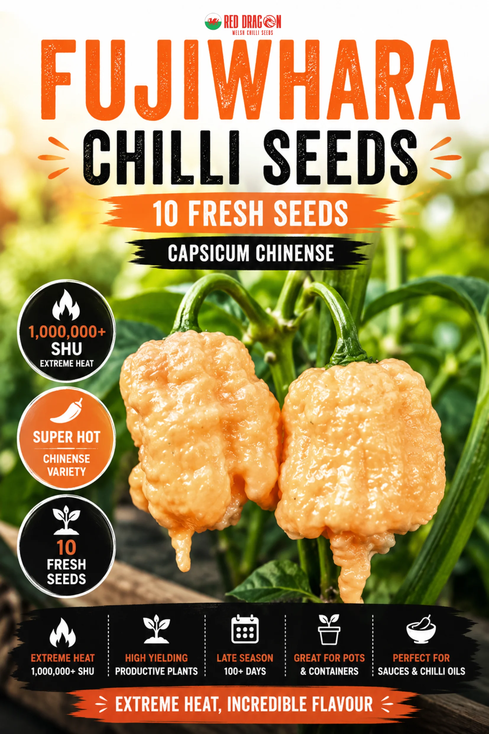 Fujiwhara Chilli Seeds