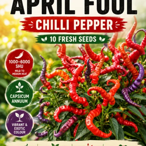Numex April Fools Chilli Seeds