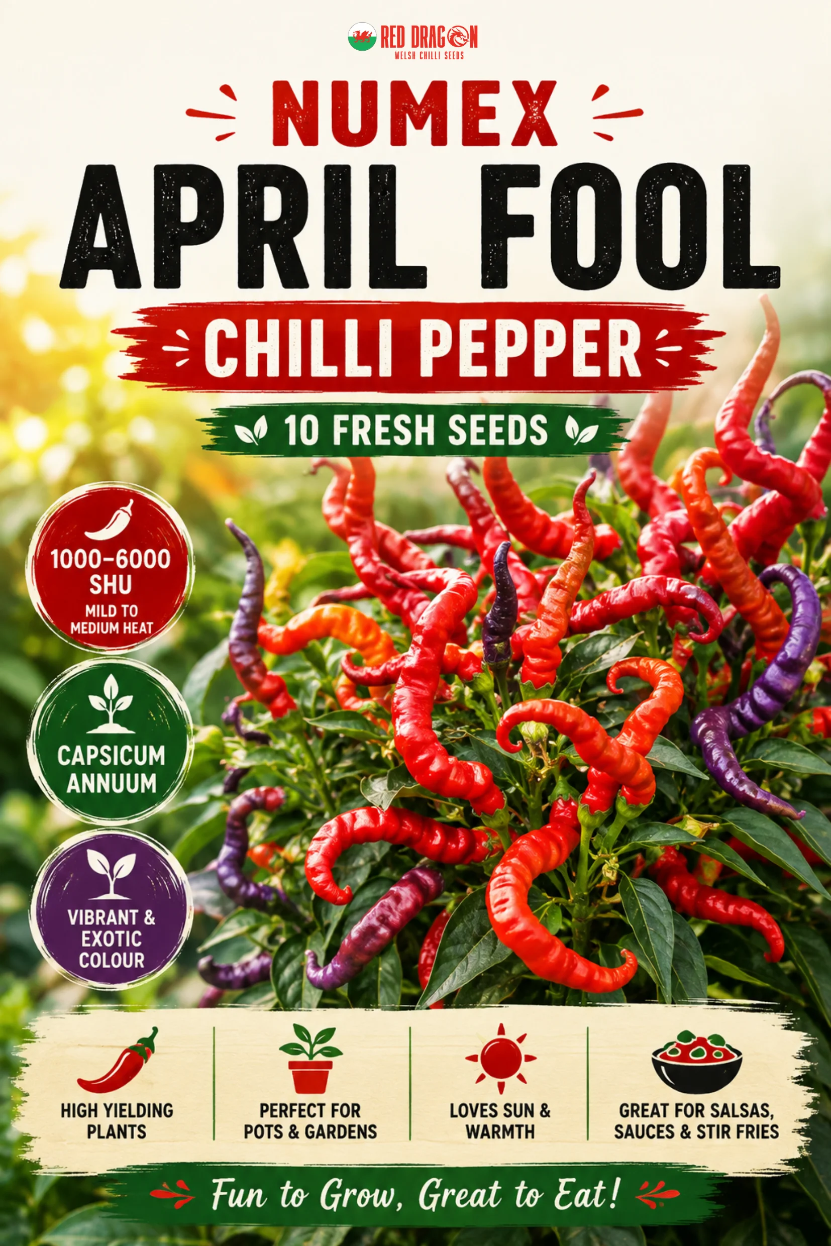 Numex April Fools Chilli Seeds