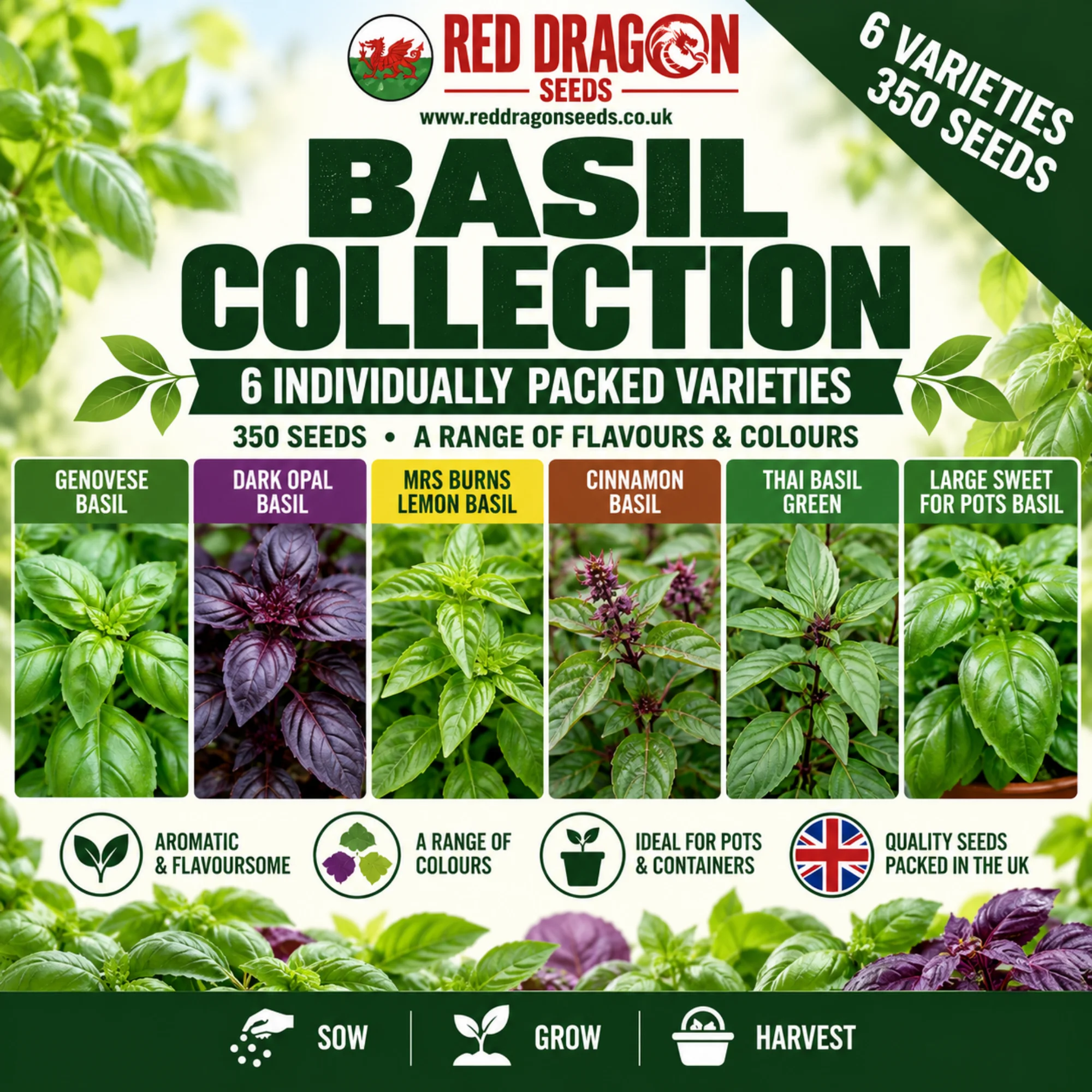Basil Seed Collection – 6 Individually Packed Varieties